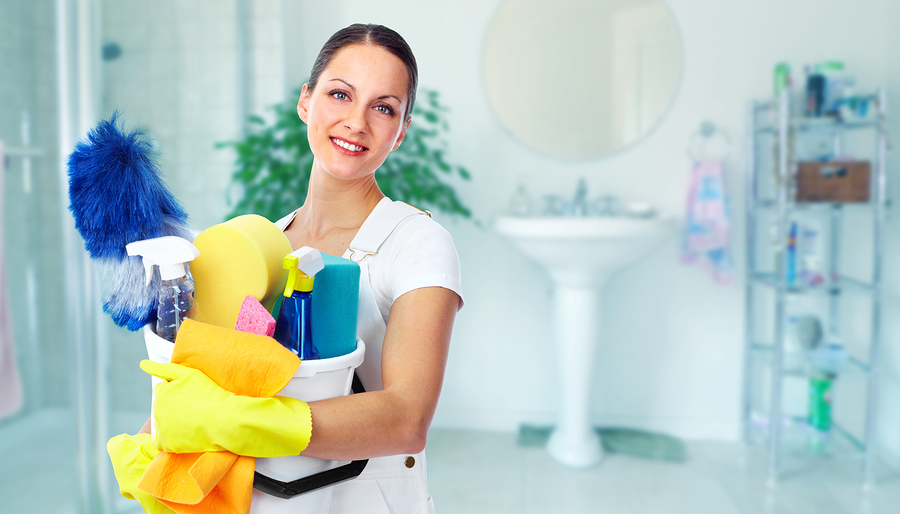 Cleaning-Services directory business for sale myprofitstore.com.au