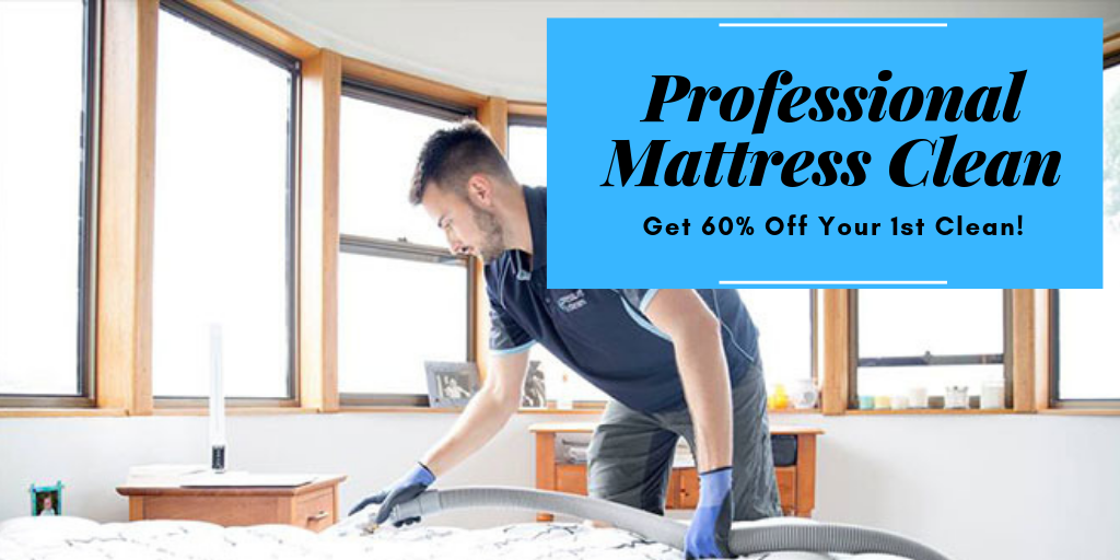 mattress cleaning business for sale