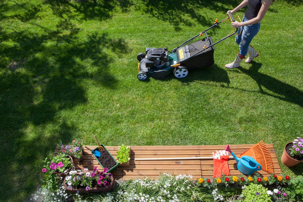 start your lawn mowing business