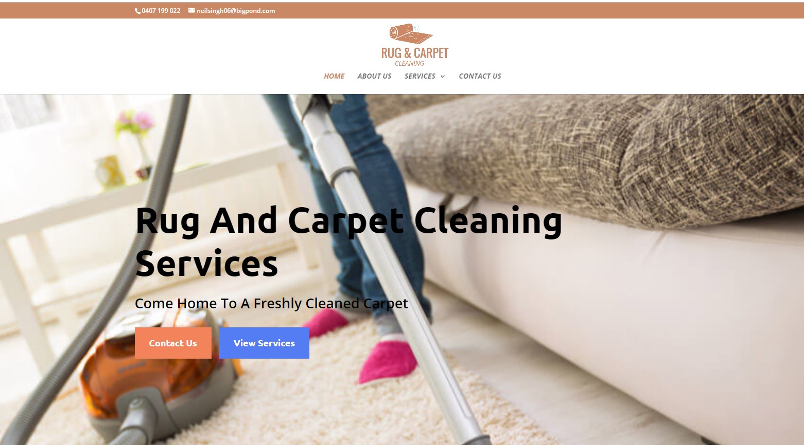 rug and carpet cleaning work from home start home business