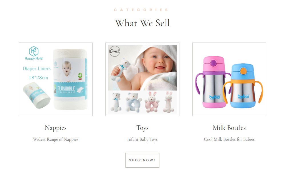 live website kids toys start your home business today