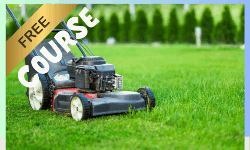 course thumbnail